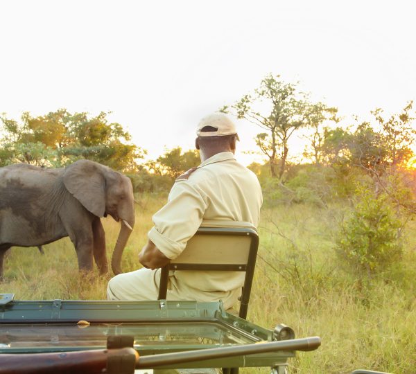 Explore the Pearl of Africa